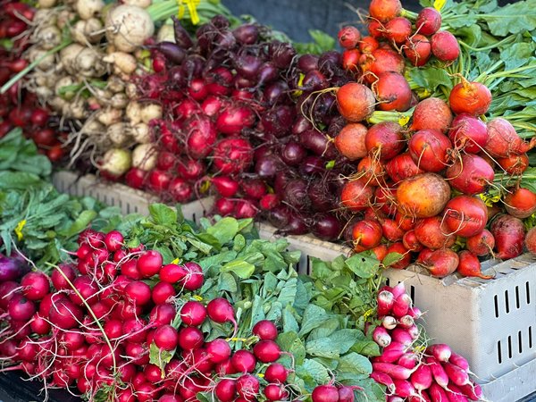 Recettes à réaliser avec un mixeur