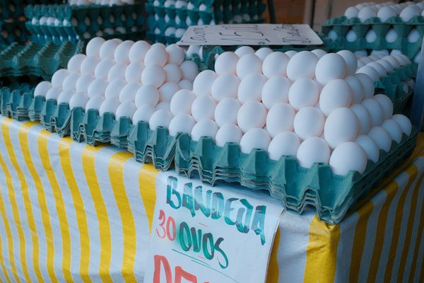 Recettes à réaliser avec un presse-agrumes